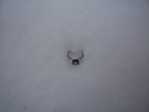 100_04741.jpg