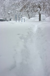 vipsnow7.jpg