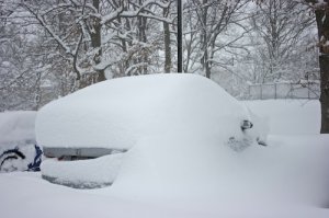 vipsnow9.jpg