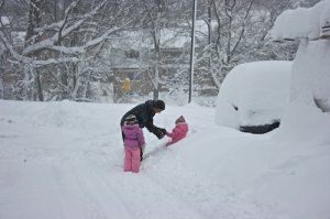vipsnow911.jpg