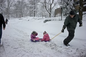 vipsnow912sled.jpg