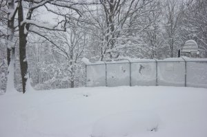 vipsnow916.jpg