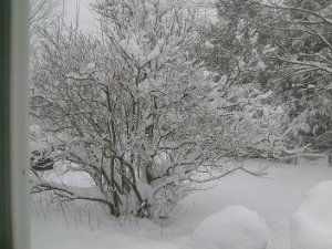 feb62010mcp.jpg