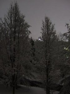 Snowpocalypse 2010 032a.jpg