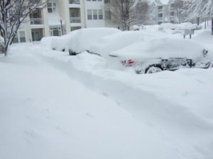 Snowpocalypse 2010 043a.jpg