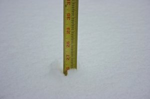 vipsnow8.jpg