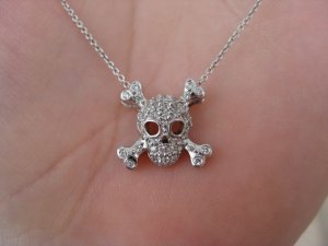 k9skull.jpg