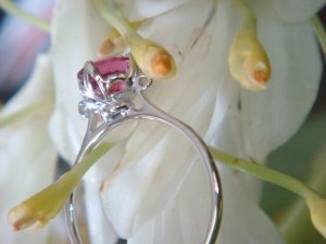 pinky112234526.jpg