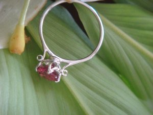 pinky34651452.jpg