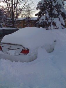 snow23435.jpg