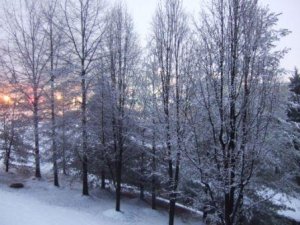 Snowpocalypse 2010 023a.jpg