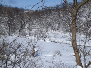 Big_Snow0002.jpg