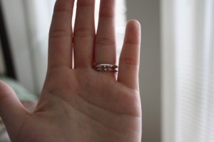 IMG_1090y.jpg