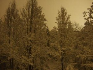 Snowpocalypse 2010 035a.jpg