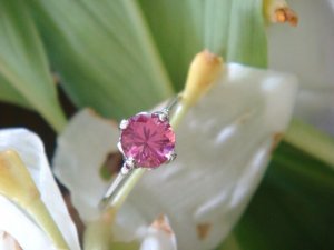 pinky56621478.jpg