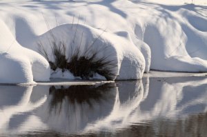 Big_Snow0009.jpg
