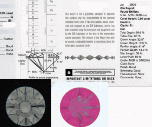 GIAMSLB1.gif