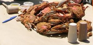 bahamamamacrabs.JPG