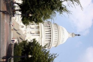 capitol03.jpg