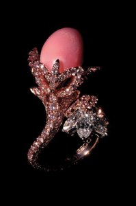PinkConch.jpg