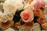 th_8eed3441.jpg