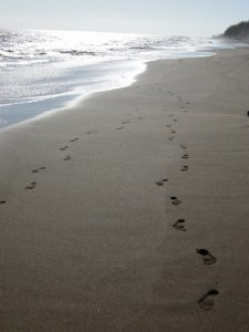 Footsteps Kauai sm.JPG