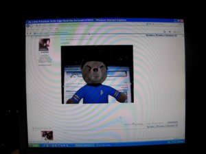 Foo104.JPG