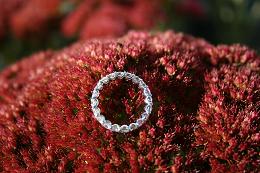 IMG_4163paint2.JPG