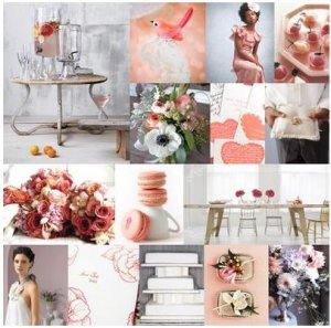 GrapefruitCoralGray.JPG