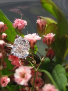Batana_Ring_flowers.jpg
