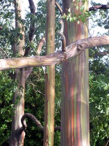 IMG_5826.jpg