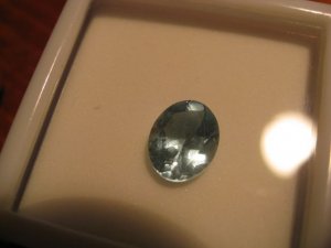 IMG_0731_2.jpg