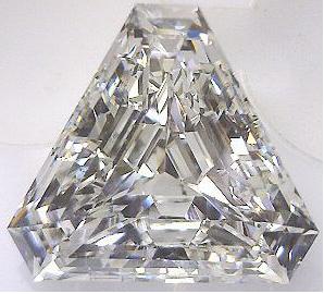step cut shield.jpg