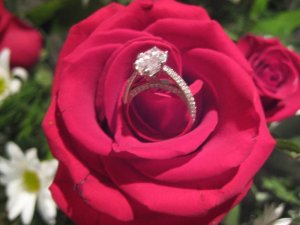 ring_12_rs.jpg