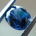 blsp162-1.jpg