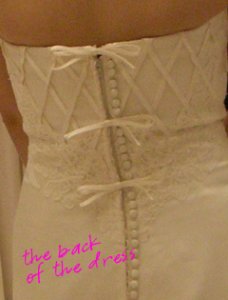 back-closeup.jpg
