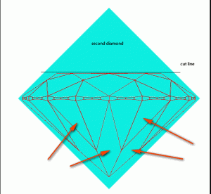 transitional1.gif