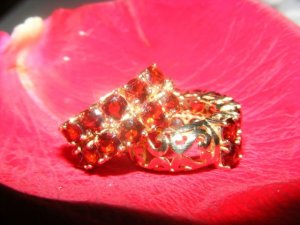 ruby earrings1.jpg