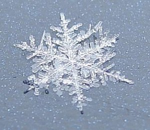 FLAKE563526.JPG