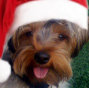 photoavatar-harryhat.jpg