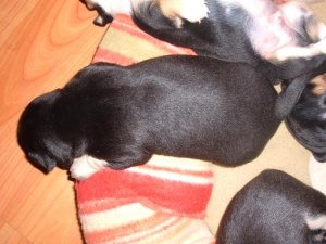 DSCF0741.JPG