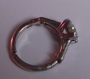 DSCN1539.JPG