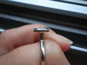 fingprof.jpeg
