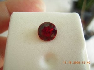 SSCN1083.JPG