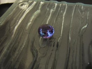 DSCF6602.JPG