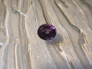 DSCF6584.JPG