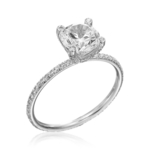 Elizabeth Ring MCF.jpg