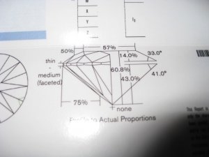giareport4.jpg