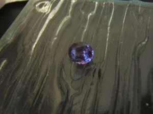 DSCF6603.JPG