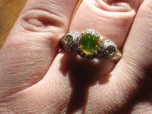 FDY RB halo ring glowin in the sun2.jpg